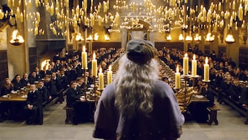 harry potter