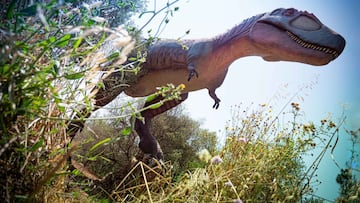 dinosaurland