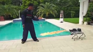 Youtuber es atacado con un lanzallamas por un perro robot chino