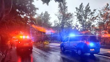 A police vehicle stands in front of a broken tree at a street following a storm in Santa Cruz de Tenerife, Canary Islands, Spain in this picture obtained from social media. CECOPALSC/Handout via REUTERS THIS IMAGE HAS BEEN SUPPLIED BY A THIRD PARTY. MANDATORY CREDIT. NO RESALES. NO ARCHIVES.
