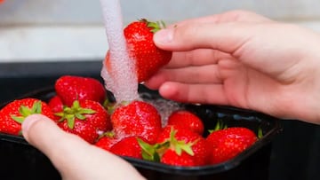 Alemania analiza fresas del sur de Europa en busca de pesticidas: este es el veredicto de las del Lidl de España