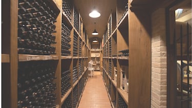 Bodegas Riojanas: Un Viaje Sensorial entre Viñedos y Sabores