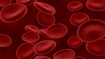Analizan a 269 personas centenarias y descubren el tipo de sangre que retrasa el envejecimiento