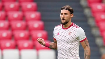 Nemanja Gudelj.