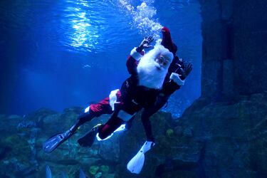 Un buceador disfrazado de Santa Claus nada en el Reino Marino VGP, como parte de las celebraciones navideñas en Chennai, India.