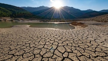 La ONU activa la alerta por la catástrofe mundial de la sequía y mira cómo ya ha afectado al aceite de oliva en España