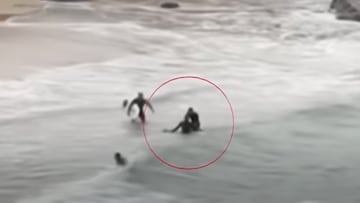 Ataque de tiburón en Cabarita Beach, Australia