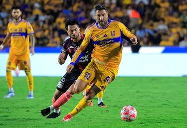 El delantero francés de 39 años disputará su temporada número 20 como profesional. Será en Tigres, club donde milita desde 2015 y del que es el máximo goleador histórico. En México ha levantado cinco Ligas MX, cuatro copas y una Liga de Campeones de la Concacaf. En cuanto a sus inicios, debutó en el Lorient en la Ligue 2. Después, llamó la atención del Toulouse y tras cuatro años, le fichó el Olympique de Marsella. A nivel internacional, jugó el Mundial 2010, la Eurocopa de 2016, en la que quedó finalista, y los Juegos Olímpicos de 2020. No obstante, no consiguió ganar ningún trofeo como gallo.