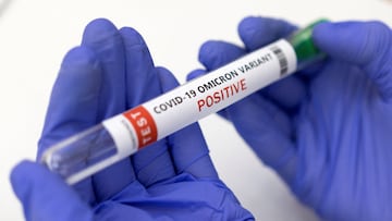 FILE PHOTO: Test tube labelled "COVID-19 Omicron variant test positive" is seen in this illustration picture taken January 15, 2022. REUTERS/Dado Ruvic/Illustration/File Photo