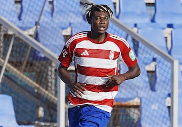 Las tribulaciones del Granada CF
