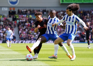 Chelsea-Brighton: puente de oro