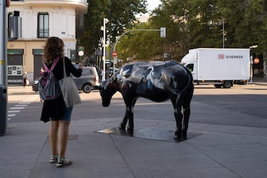 Las esculturas talladas a mano e ilustradas por diferentes artistas ya están por las calles de Madrid. 