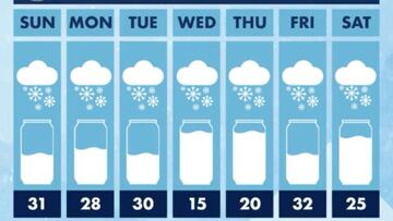 Gráfico de Busch Beer en el que explica la oferta de dólares por centímetros de nieve como si mostrara las predicciones de nevadas para los días de la semana, en tonos azules.