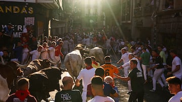 Revellers sprint next to La Palmosilla fighting bulls during the Encierro (running of the bulls), during the San Fermin festival in Pamplona, Spain July 13, 2025. REUTERS/Albert Gea