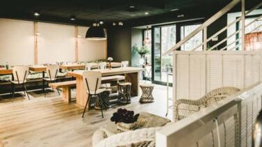 Restaurantes que admiten perros en Madrid ¡No dejes a tu mascota en casa!