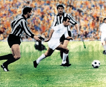 Además de las numerosas Ligas y la Copa, Amancio ganó Copa de Campeones de Europa 1965-66. En la final el conjunto blancó venció al F. K. Partizan por 2-1. El propio Amancio anotó el gol del empate para que después Serena diera la Sexta Copa de Europa al Real Madrid.
