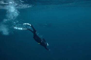 El cinco veces campeón mundial de apnea, el francés Arthur Guerin-Boeri, nada junto a una orca en el Océano Glaciar Ártico.