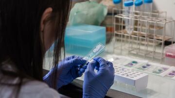 Qué es el adenovirus 41, el posible responsable de la hepatitis aguda en niños