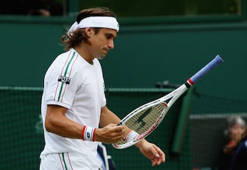 Ganador del Masters 1000 de París y finalista de Roland Garros, fue uno de los jugadores más constantes del circuito. En 2013 cerró la temporada como el número 3 del mundo, y precisamente en ese año alcanzó su mejor registro en Wimbledon, los cuartos de final. El torneo londinense es el único en el que el tenista alicantino no pudo estar entre los mejores 4.