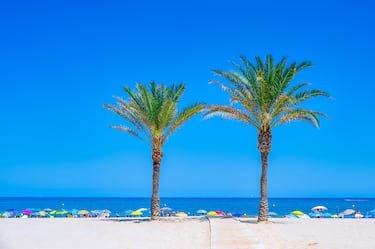Está situada en la ciudad de Alicante y en sus alrededores encontramos un amplio paseo marítimo, que ofrece una gran oferta de restaurantes y tiendas. En la ciudad alicantina, la playa de San Juan solo compite con playa del Postiguet, donde se encuentran algunas de las fortalezas más famosas de la Costa Blanca.