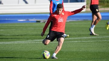 Portillo: “Esperaba más protagonismo”