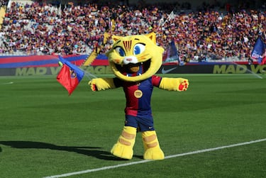 Nació el año pasado fruto de la celebración del 125 aniversario del FC Barcelona. Su nombre es 'Cat' y se trata de un gato montés un felino autóctono de Cataluña. Además, su rostro tiene la forma del escudo del club. 