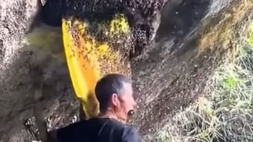 El impactante método de trabajo de un apicultor en China: recoge la miel sin protección y se mete las abejas en la boca