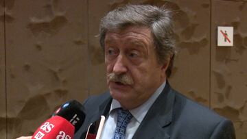 Larrea: "Igual hay que aplazar el VAR un año, creará problemas"