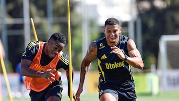 El colombiano y el brasileño se reencuentran en Fenerbahce.