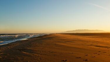 Situada en el privilegiado entorno natural del delta del Ebro, la playa de los Eucaliptos es uno de los enclaves mejor conservados de la zona. Se trata de una larga franja de playa que se extiende a lo largo de casi seis kilómetros y 200 metros de anchura entre dunas bajas y una flora de un valor extraordinario en la que se combinan los arrozales y los eucaliptos que dan nombre a la playa. 