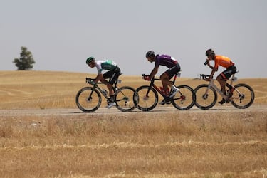 Philipsen hace honor a la catedral del esprint