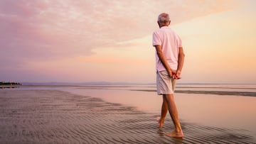 Rear view of senior man walking on beach during sunset.