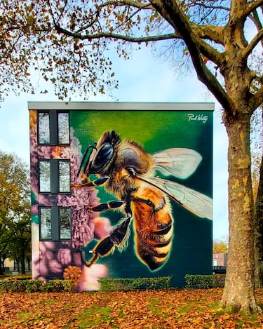 Este mural fue creado en noviembre de 2024 y está situado en la calle Reinevaarstraat, número 478, en Tilburg, Países Bajos. 