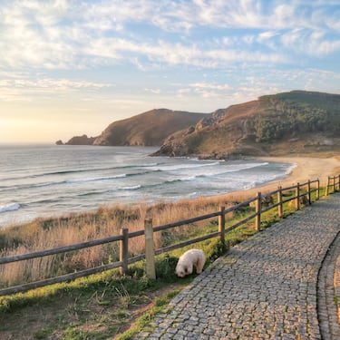 La Playa Mar de Fora se encuentra en Finisterre y está rodeada de acantilados. Es un lugar de naturaleza salvaje, apto para realizar rutas de senderismo sobre todo al atardecer. Los bañistas deben tener precaución ya que no está exenta de peligro por sus difíciles condiciones. La playa es de forma rectilínea, con grado de urbanización virgen y está compuesta a base de arena de color blanco. Una delicia.