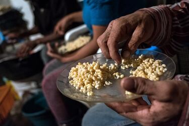 Son larvas de una especie de hormiga que se recolectan en la temporada de primavera, son considerados un manjar en la gastronomía mexicana desde tiempos prehispánicos. Se cosecha cada año entre los meses de marzo y abril, es considerado un alimento de lujo y reservado para ocasiones especiales.