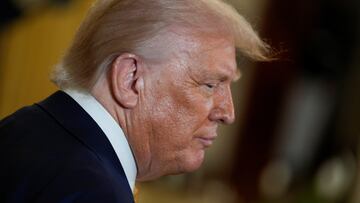 El presidente de los Estados Unidos, Donald Trump.