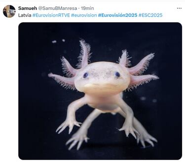 Estonia, ganadora de los memes de Eurovisión