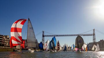 Estampa de la Regata del Gallo