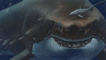 megalodon existieron pelicula dinosaurio tiburon gigante prehistoria