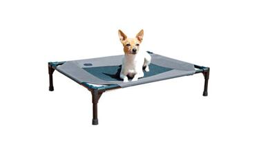 Qué cama le compro a mi perro