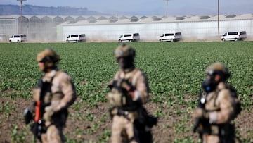 Trabajadores federales en operativo en California