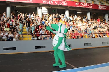 'Koki', además de ser un caimán, es la mascota del Córdoba desde 2008. Se caracteriza por ser divertida y fiel a los colores de su club. Como curiosidad, se metió en la celebración de un gol de los suyos y, en consecuencia, fue amonestado por el árbitro, protagonizando una de las escenas más surrealistas y graciosas del fútbol español.