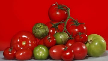 ¿Por qué el tomate es una fruta y no es una hortaliza o verdura?