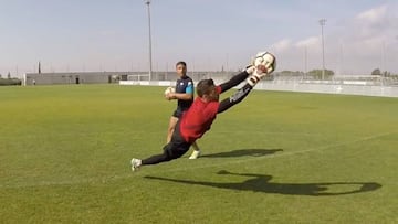 Hércules: Falcón recoge los frutos de un verano sacrificado