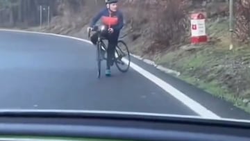 Un lobo persigue a un ciclista mientras desde un coche tratan de ahuyentarlo: se evitó la tragedia