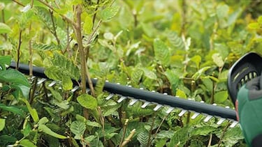 Amazon tiene en este cortasetos eléctrico de Bosch la solución definitiva para cuidar tu jardín como un profesional
