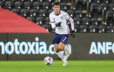 Giovanni Reyna nació en Sunderland en 2002. Hijo de los futbolistas Claudio Reyna, 112 veces internacional con USA, y  Danielle Egan que también fue internacional con USA. 
Gio jugó en todas las categorías inferiores con la selección estadounidense y debutó con la Absoluta estadounidense el 12 de noviembre de 2020, cuando tenía 18 años.