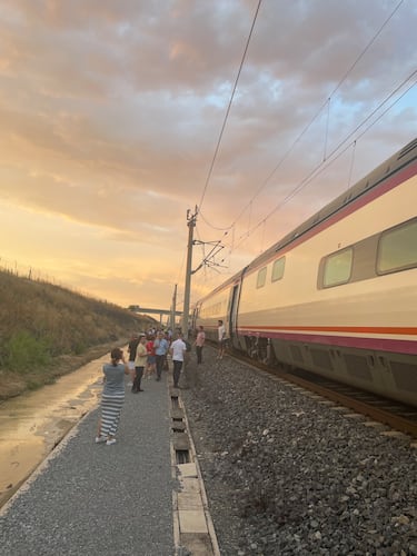 Varios trenes de Renfe, detenidos en mitad de la nada por un problema con la catenaria: “Ha sido un susto tremendo”