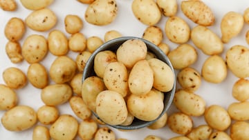 Potatoes in a mini bucket top view on a white background