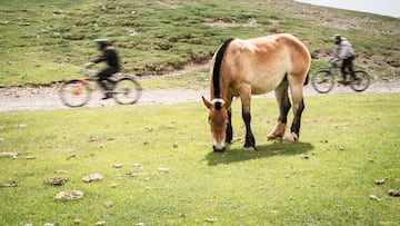 La Molina activa la totalidad de su oferta para el verano